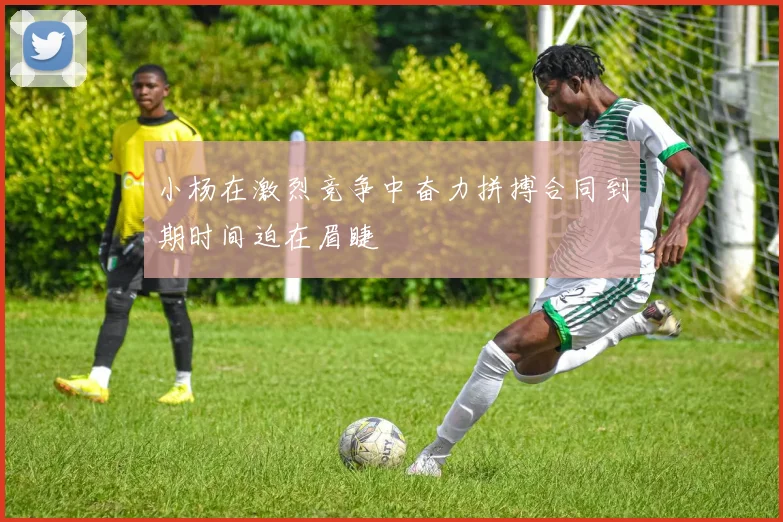 小杨在激烈竞争中奋力拼搏合同到期时间迫在眉睫