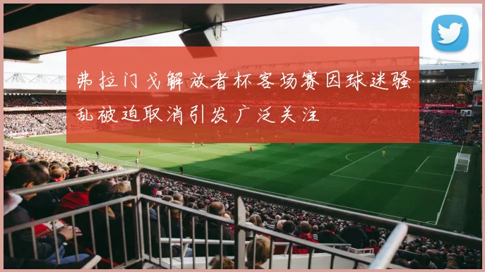 弗拉门戈解放者杯客场赛因球迷骚乱被迫取消引发广泛关注